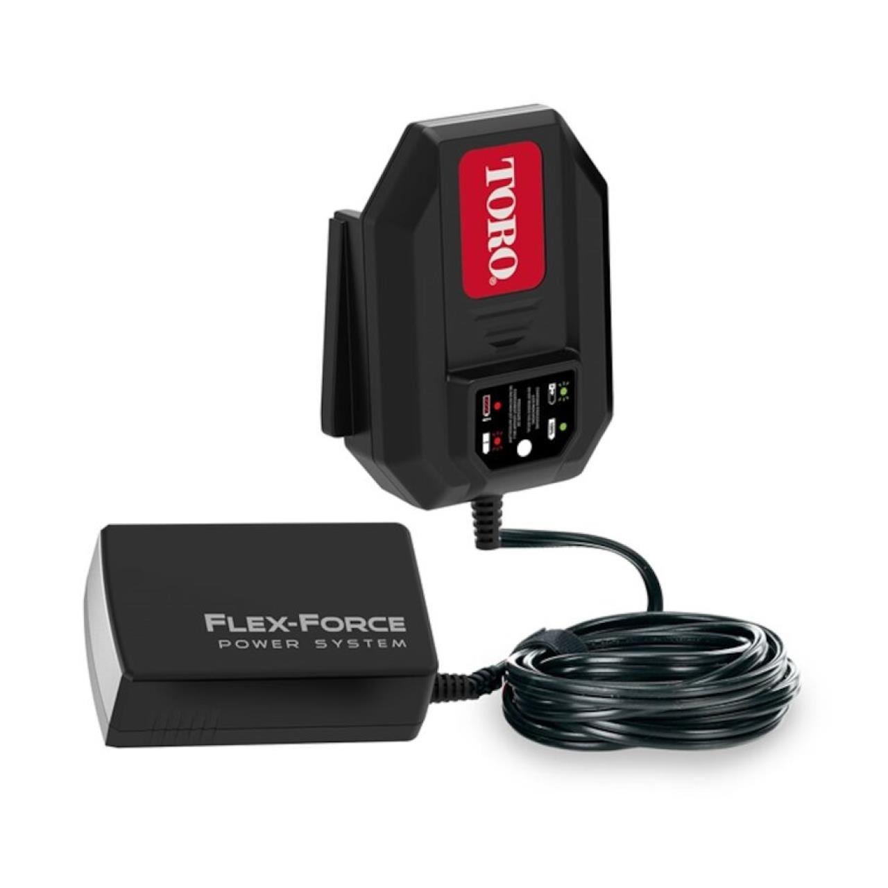 Akku-Ladegerät - 1 Ampere 60V MAX* Flex-Force Power System™- 81801